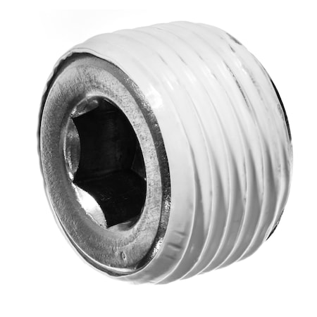 Pipe Fitting W Sealant - 316SS - #150 - Hex Socket Plug - 1/4 MNPT